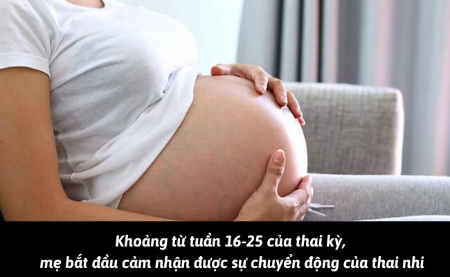 Khoảng từ tuần 16-25 của thai kỳ, mẹ bắt đầu cảm nhận được sự chuyển động của thai nhi