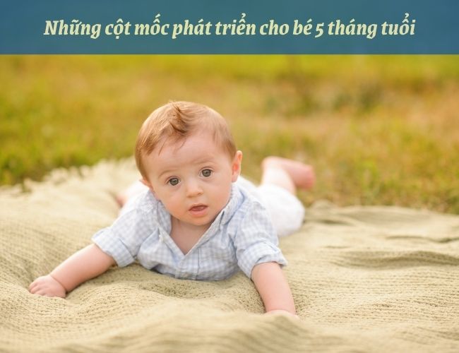 Sự phát triển của trẻ 5 tháng tuổi