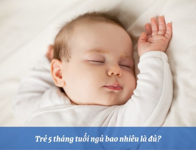 Trẻ 5 tháng tuổi thường ngủ tầm 2 - 3 giấc /ngày