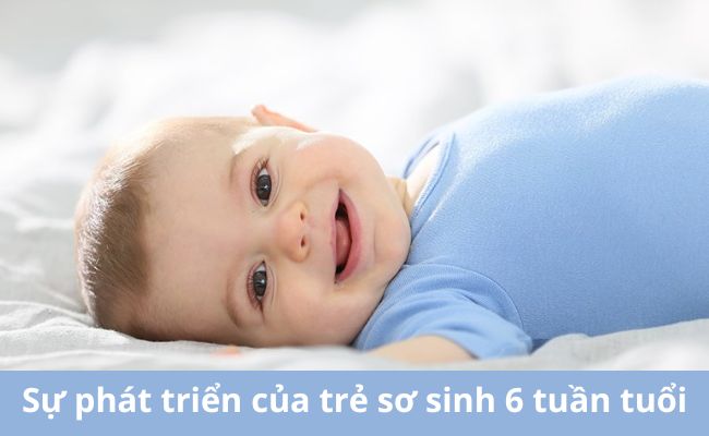 Sự phát triển của trẻ sơ sinh 6 tuần tuổi