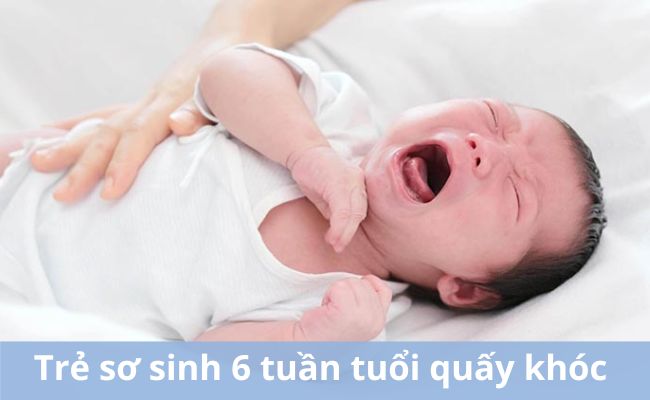 Trẻ sơ sinh 6 tuần tuổi quấy khóc