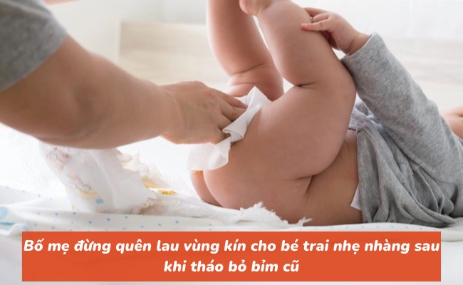 Lau vùng kín cho bé trai nhẹ nhàng sau khi tháo bỏ bỉm cũ