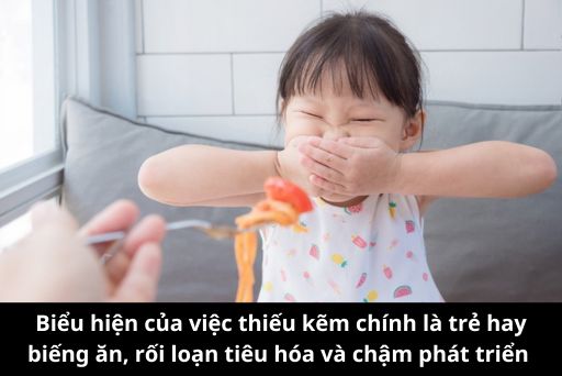 Biểu hiện của việc thiếu kẽm chính là trẻ hay biếng ăn, rối loạn tiêu hóa và chậm phát triển