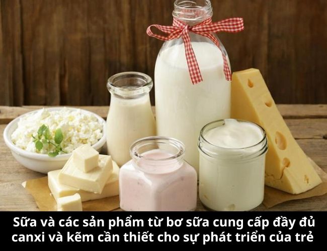 Sữa và các sản phẩm từ bơ sữa cung cấp đầy đủ canxi và kẽm cần thiết cho sự phát triển của trẻ