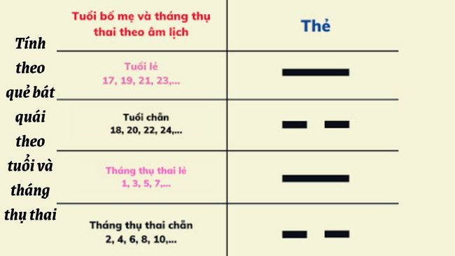 Bảng ví dụ về cách thể hiện của thẻ theo tuổi và tháng thụ thai