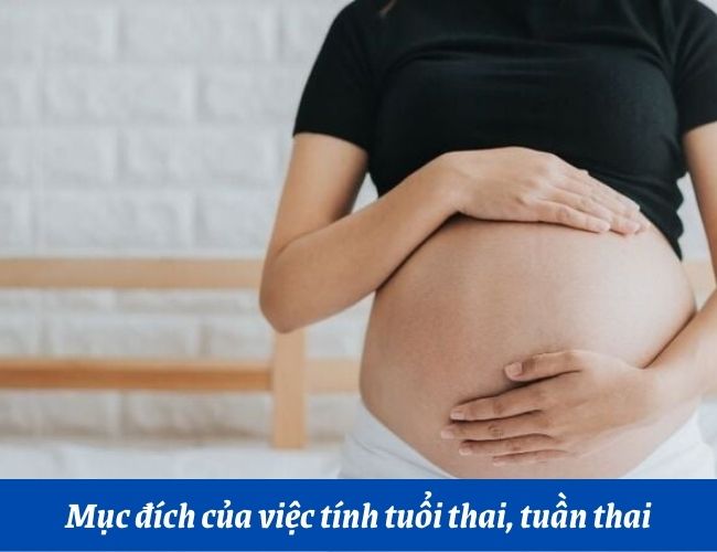 Mục đích của việc tính tuổi thai nhi là gì?