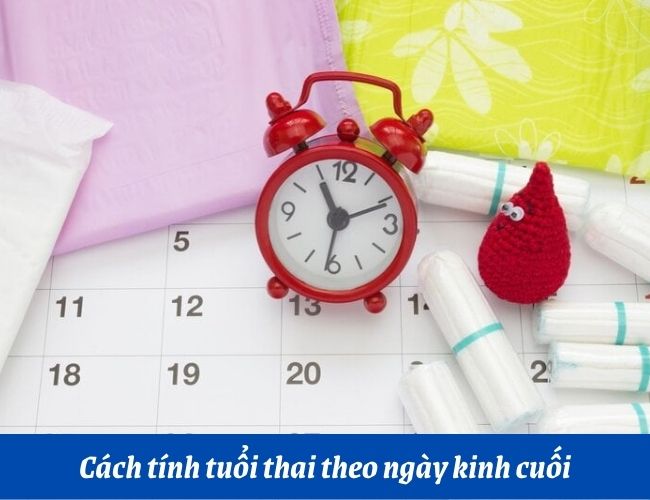 1. Cách tính tuổi thai theo ngày kinh cuối