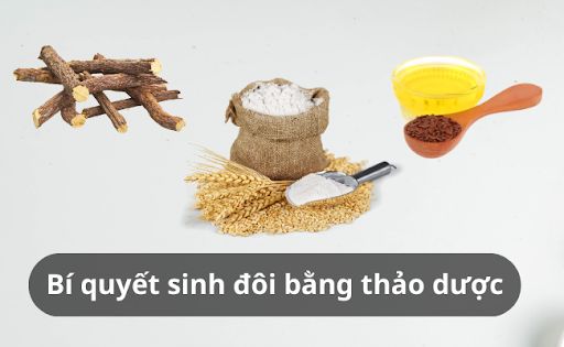 Sử dụng thảo dược cũng có thể hỗ trợ tăng khả năng mang song thai cho mẹ