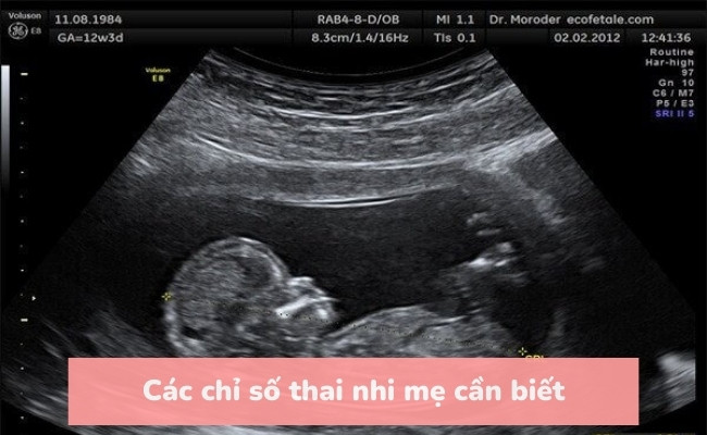 Các chỉ số thai nhi mẹ cần biết