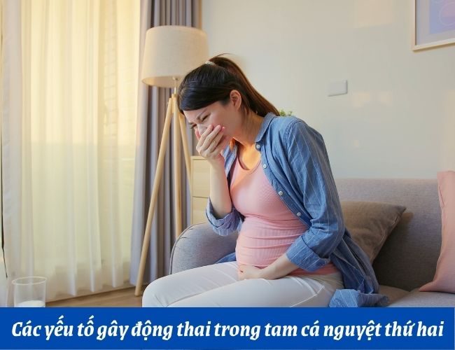 Sốt cũng là một trong những nguyên nhân gây nên động thai