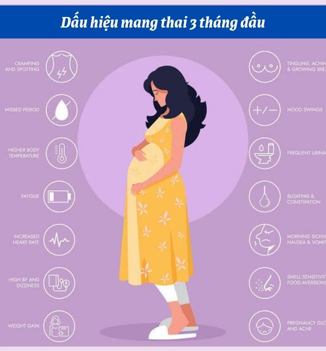 Các dấu hiệu mang thai tháng đầu phổ biến nhất