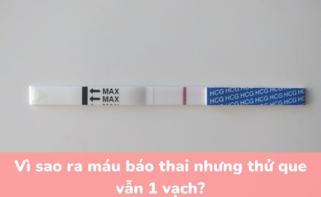 Vì sao ra máu báo thai nhưng thử que vẫn 1 vạch