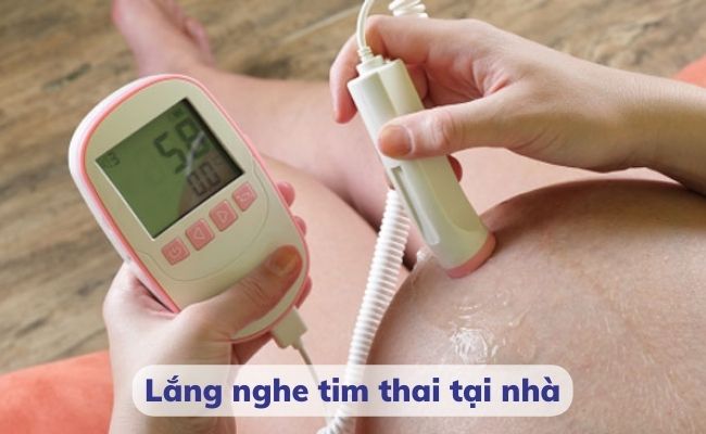 Mẹ nên siêu âm đánh giá tim thai từ 18 đến 24 tuần