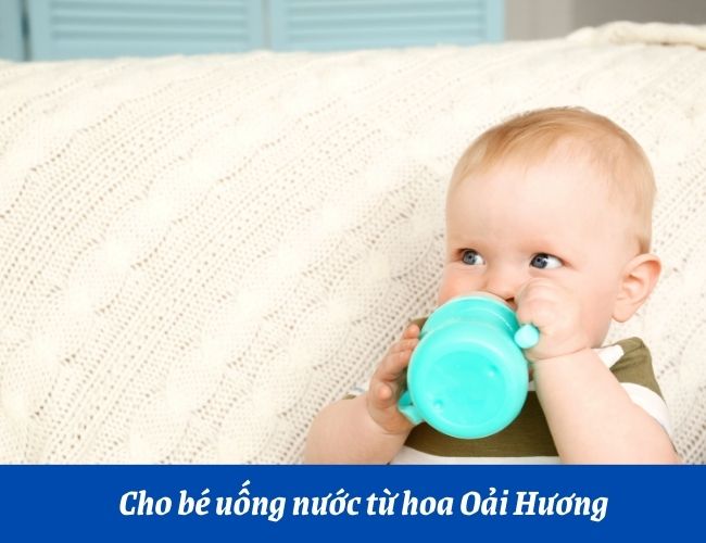 Nước từ hoa Oải Hương có tác dụng giúp bé ngủ ngon và yên giấc hơn