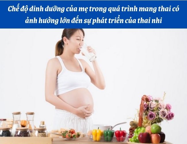 Chế độ dinh dưỡng của mẹ trong quá trình mang thai có ảnh hưởng rất lớn tới sự phát triển của thai nhi