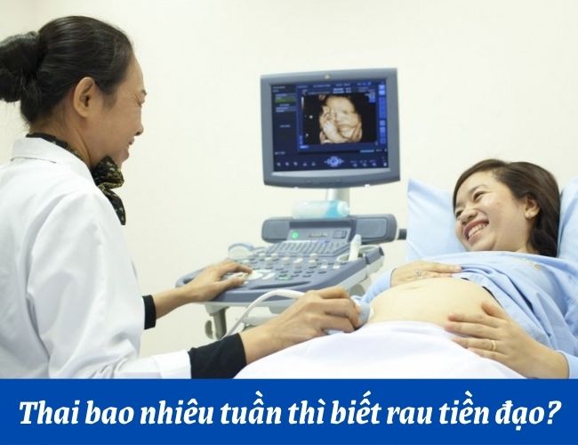Nhau tiền đạo có thể được phát hiện sớm từ tuần thai thứ 20