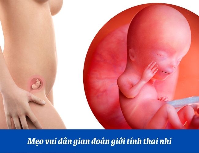 Mẹ có thể xác định giới tính của thai nhi bằng mẹo dân gian