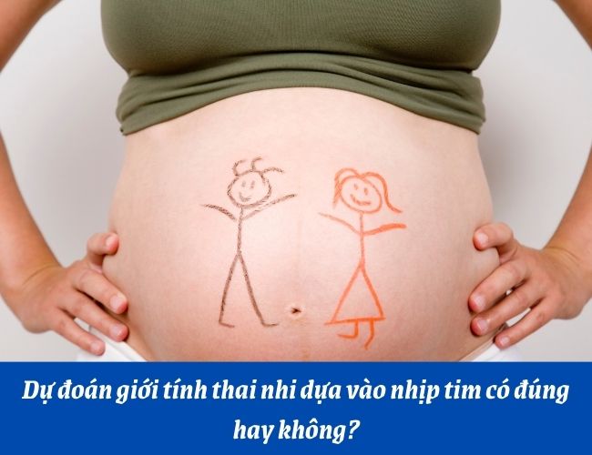 Có thể xác định giới tính thai nhi dựa vào nhịp tim hay không?