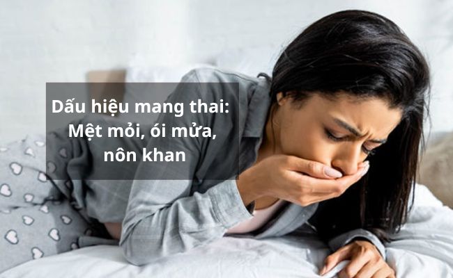 Dấu hiệu quá trình thụ thai diễn ra thành công là gì?