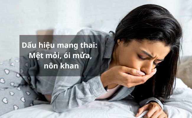 Mệt mỏi, ói mửa, nôn khan cũng là dấu hiệu cho thấy bạn đã có thai