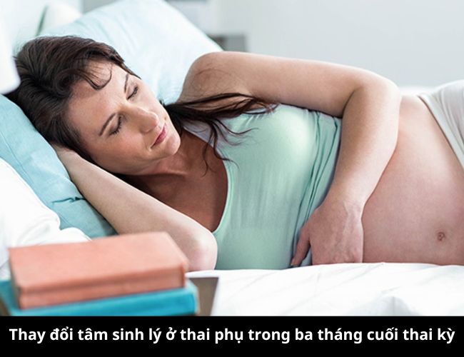 Trải qua nhiều thay đổi nội tiết khiến cơ thể thai phụ mệt mỏi