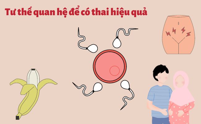 Tư thế thâm nhập phải hỗ trợ tinh trùng tiến đến gần cổ tử cung nhất và giúp tinh trùng gặp trứng dễ dàng