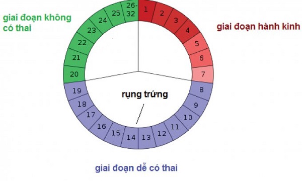 Bạn nên tính toán chu kỳ rụng trứng của mình để biết nên thử thai khi nào