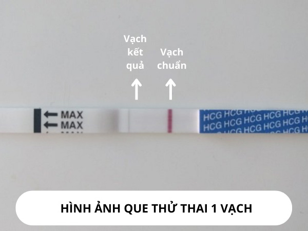 Hình ảnh kết quả que thử thai 1 vạch