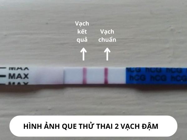 Hình ảnh kết quả que thử thai 2 vạch hồng đậm