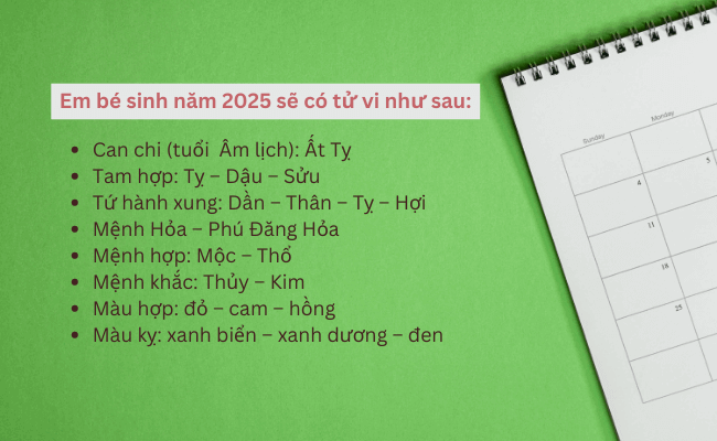 Em bé sinh năm 2025 là năm con gì