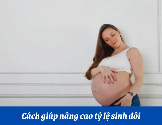 Thay đổi chế độ dinh dưỡng kích thích quá trình sản xuất hormone progesterone sẽ giúp tăng khả năng mang thai đôi