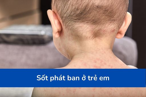 Hổ con Ngao gây sốt mạng xã hội và thu hút du khách Nghệ An