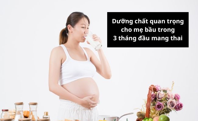 Dưỡng chất quan trọng cho mẹ bầu trong 3 tháng đầu mang thai