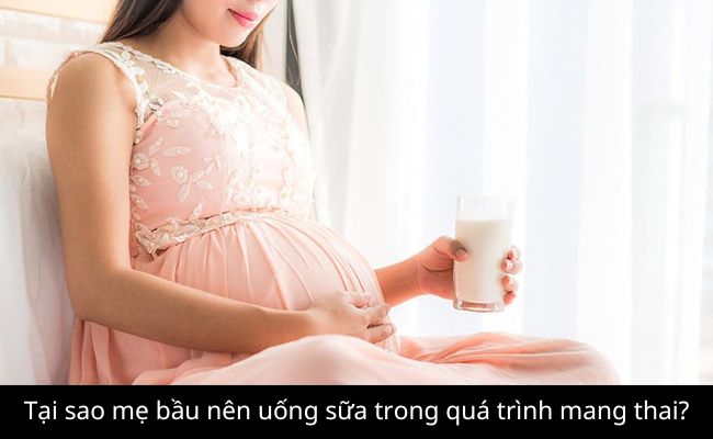 Tại sao mẹ bầu nên uống sữa trong quá trình mang thai?