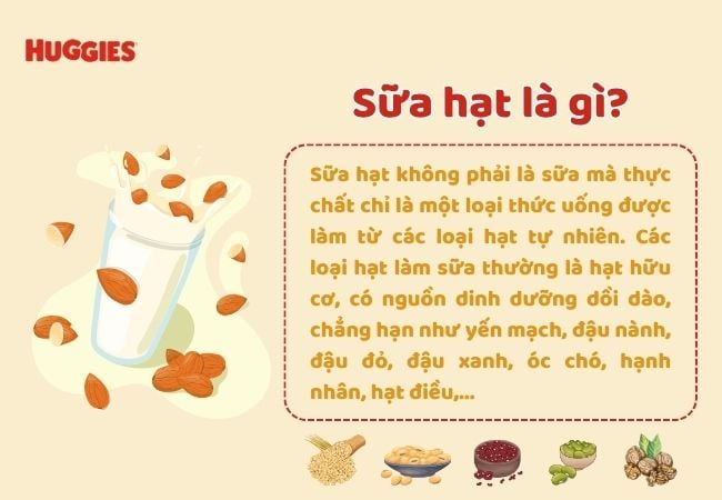 sữa hạt là gì