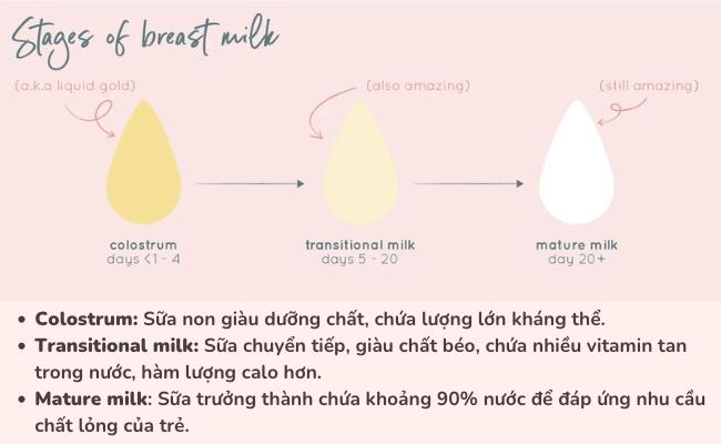 Sữa non cho trẻ sơ sinh là loại sữa giàu dưỡng chất được hình thành do quá trình thay đổi hormone của mẹ sau sinh