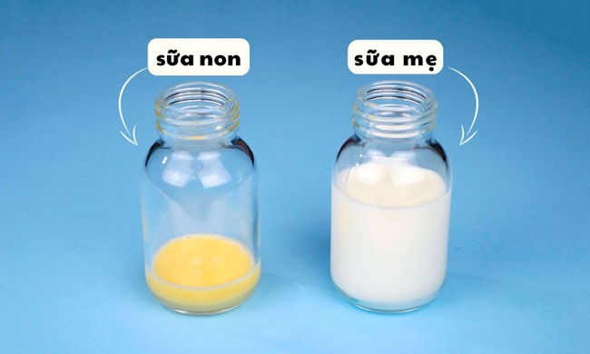 sữa non và sữa mẹ