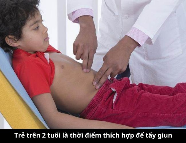 Trẻ trên 2 tuổi là thời điểm thích hợp để tẩy giun