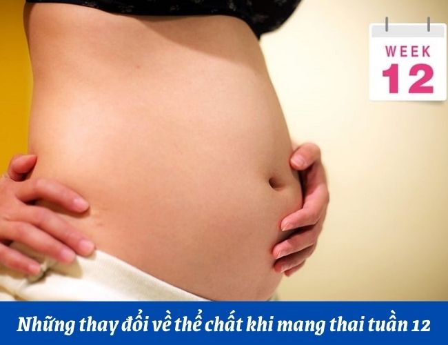 Những thay đổi của mẹ bầu ở tuần 12