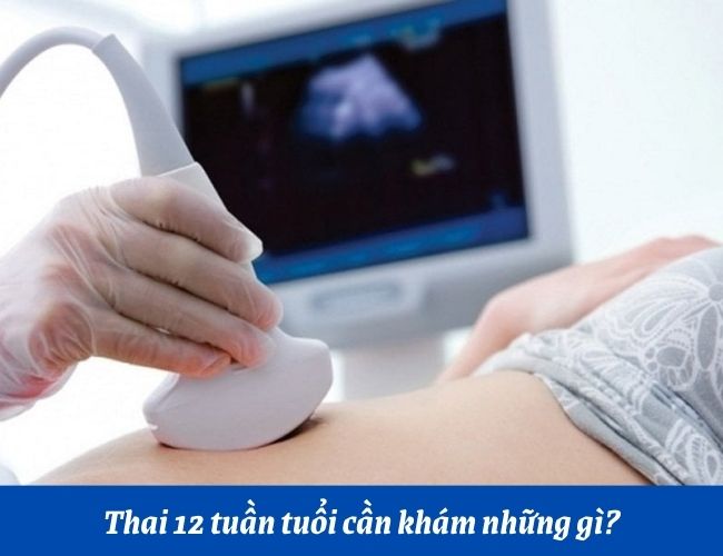 Thai nhi 12 tuần cần khám gì?