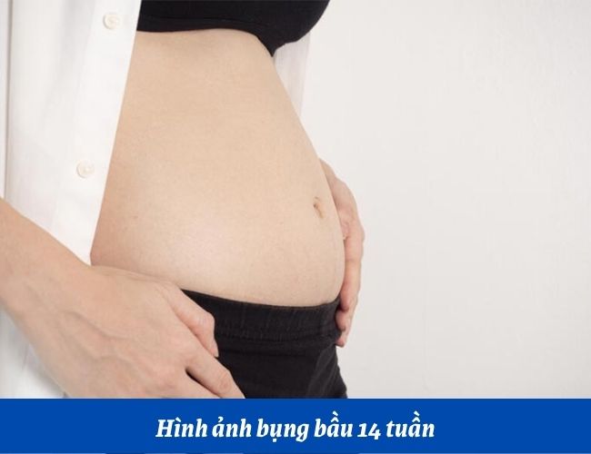 Thai 14 tuần bụng to chưa?