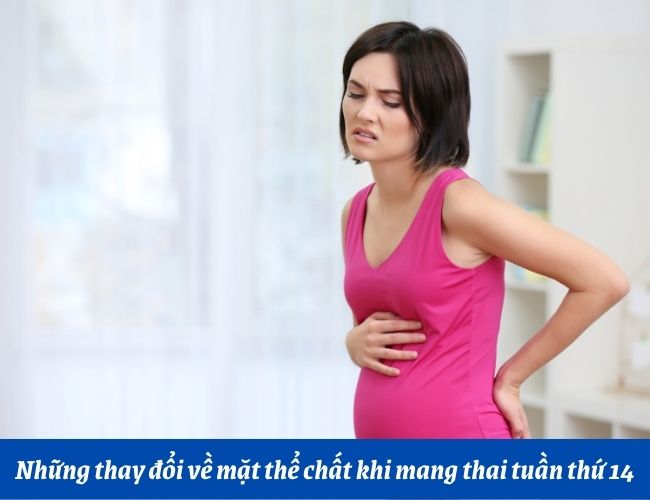 Thai 14 tuần bụng to chưa?