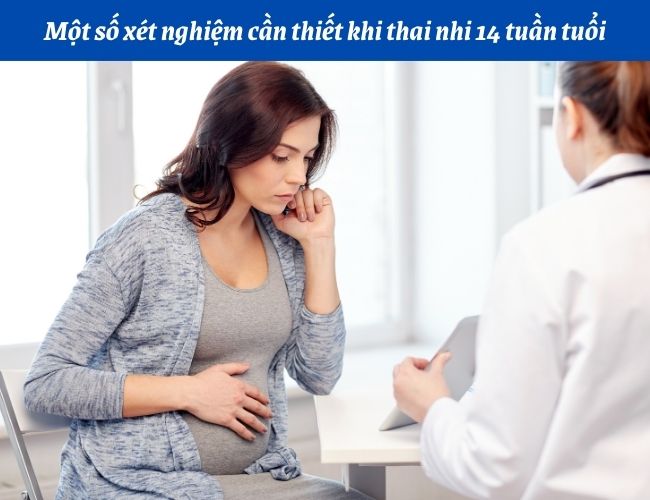 Một số xét nghiệm cần thiết khi thai nhi 14 tuần tuổi