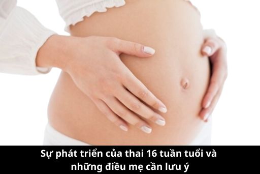Những thay đổi của thai nhi tuần thứ 16