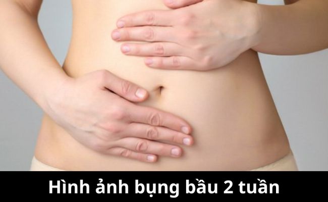 Hình ảnh bụng bầu 2 tuần