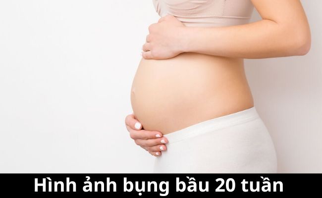 Hình ảnh bụng bầu 20 tuần