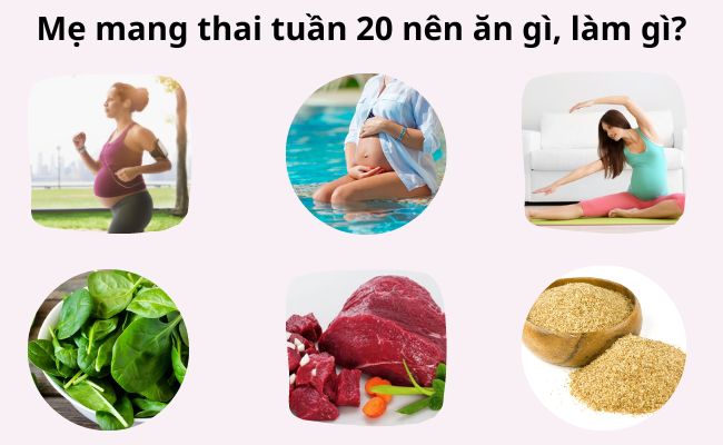 Mẹ bầu mang thai tuần 20 nên ăn gì, làm gì