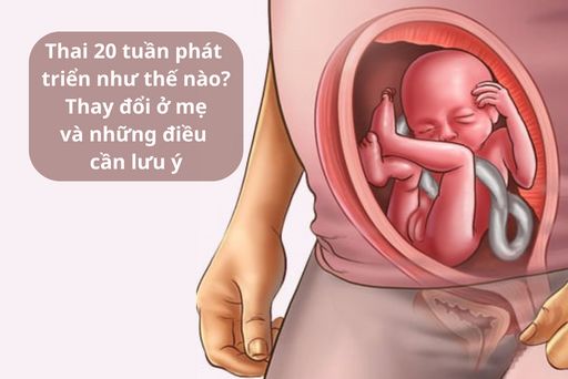 Những thay đổi của thai nhi tuần thứ 20
