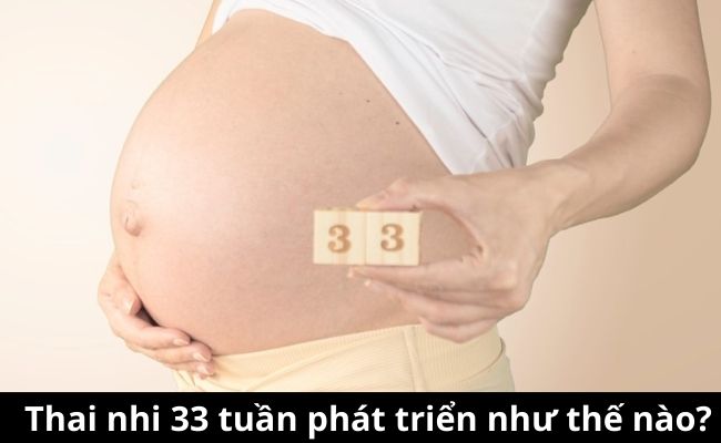 Thai nhi 33 tuần trở nên tân tiến như vậy nào