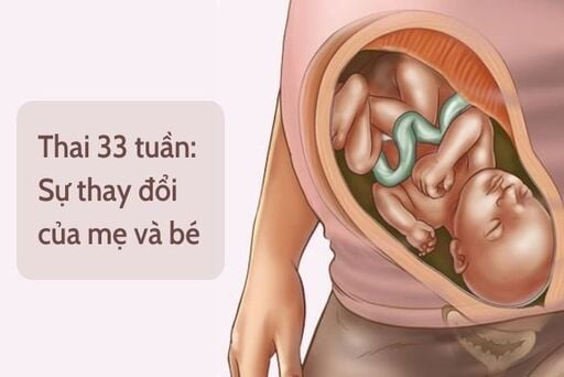 Những thay đổi thai nhi tuần thứ 33